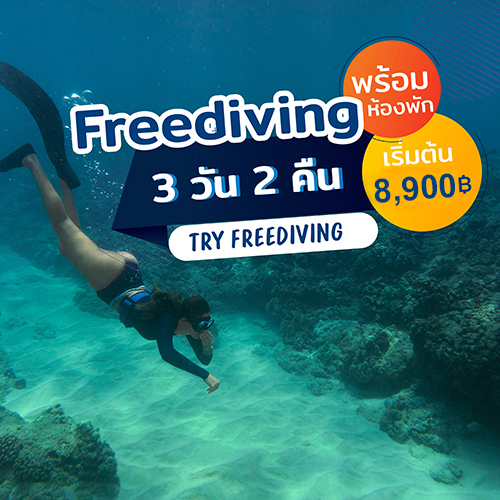 Koh Tao 3D2N Koh Tao Montra + Try Freediving course