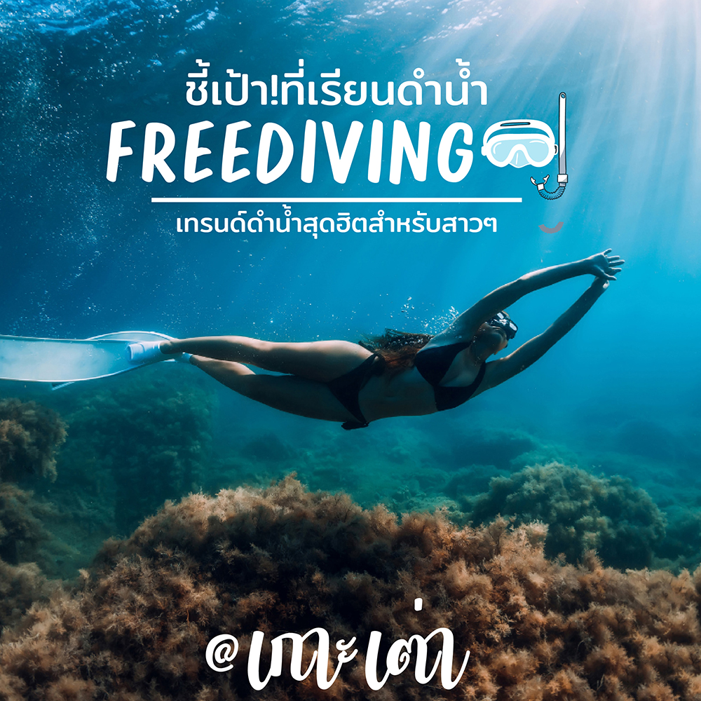 Free Diving courses in Koh Tao