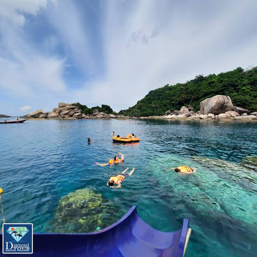 From Koh Tao: Snorkeling Tour around Koh Tao and Nang Yuan Island