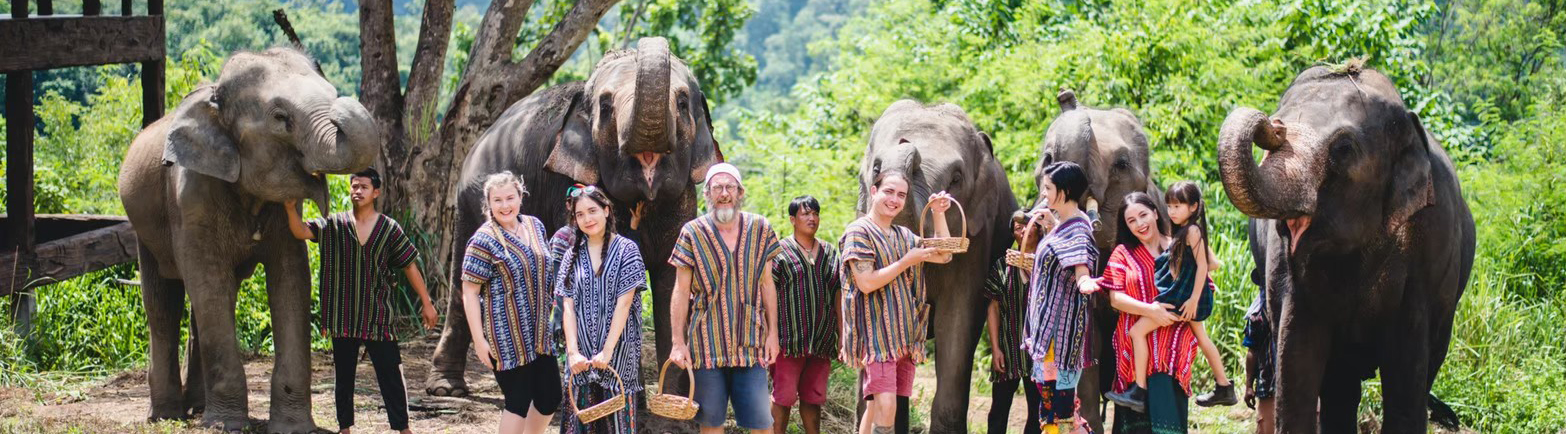 4 Things You Should Know About Elephants in Thailand [2024]