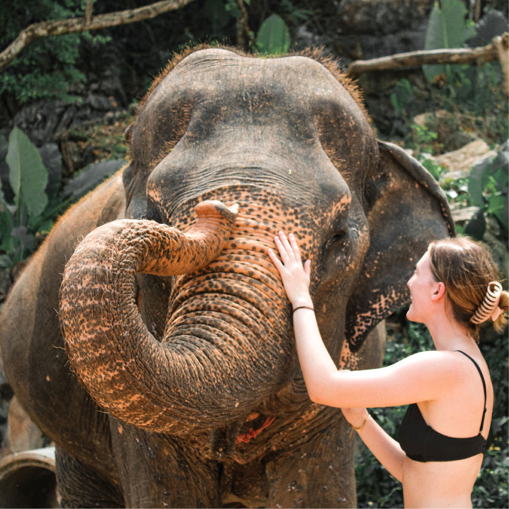 Elephant Care Activity at Ao Nang Elephant Sanctuary Krabi