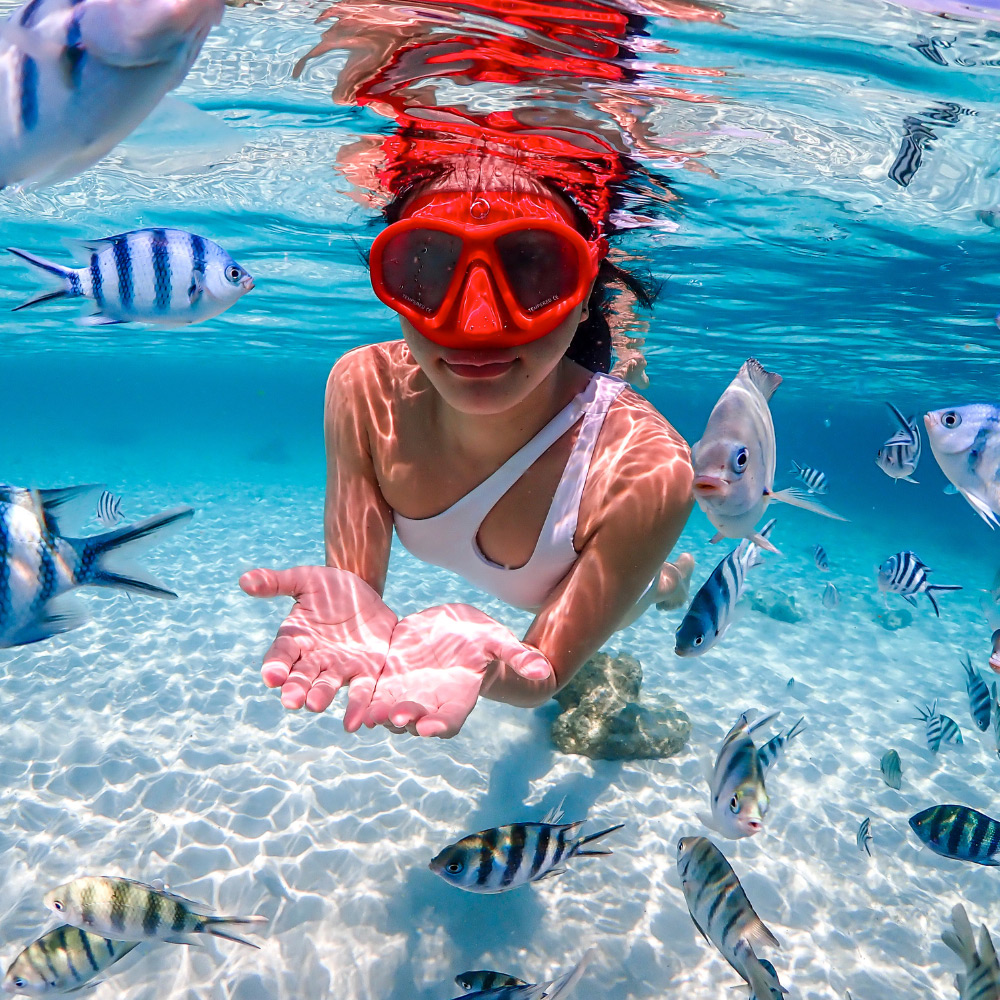 Nemo Island at Samaesan Snorkeling Tour from Bangkok