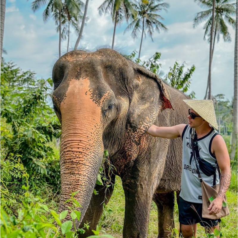 Samui Elephant Home: Elephant Care and Authentic Way of Life 