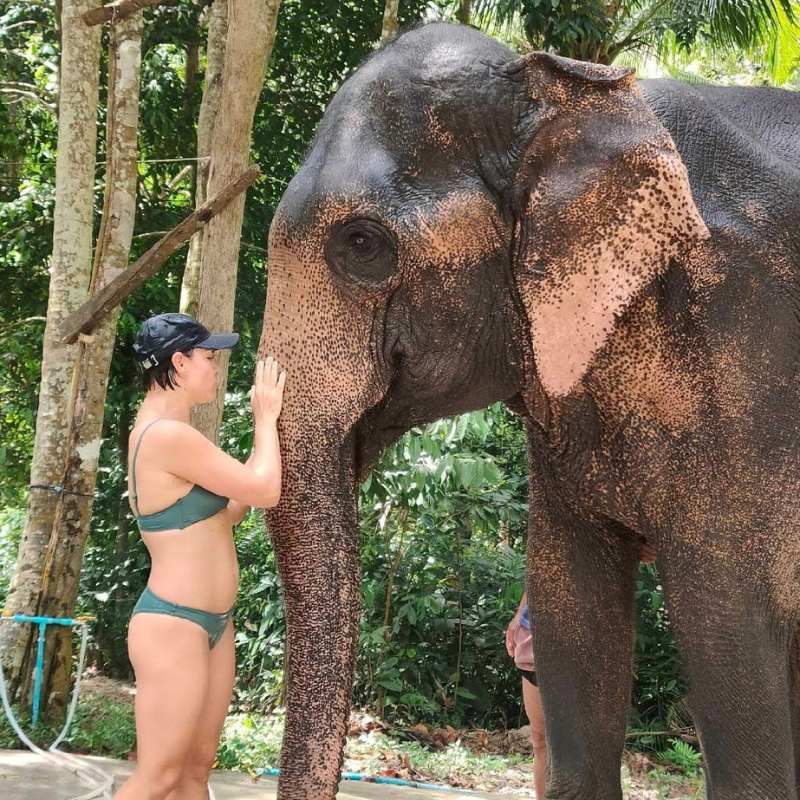 Elephant Care Samui Experience