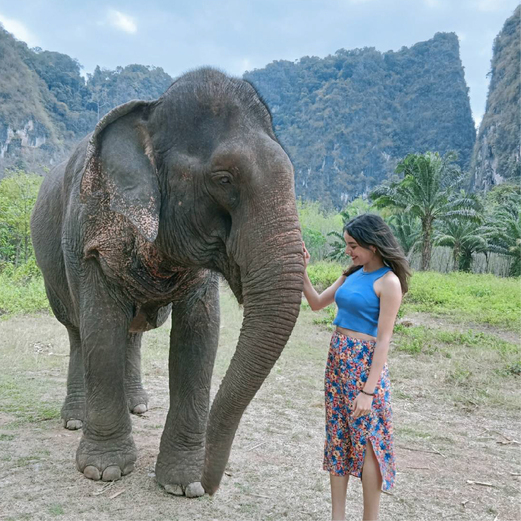 Elephant + Tiger Cave Temple Tour at Krabi Elephant Green Sanctuary