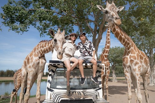 Safari Park Kanchanaburi with Private Car from Bangkok