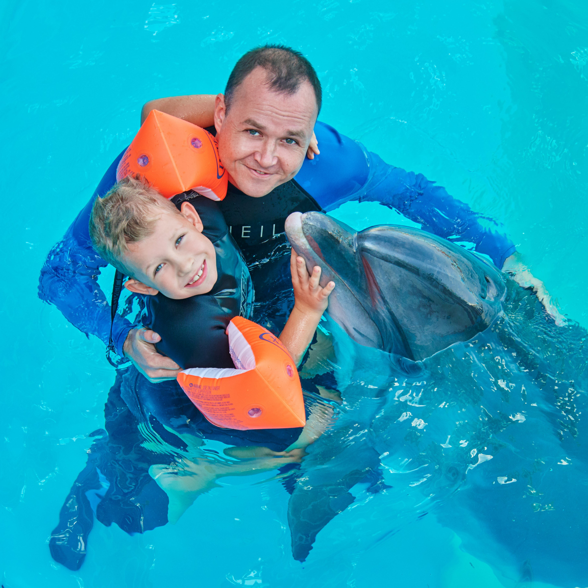 Pattaya Dolphinarium (Swim with dolphin)